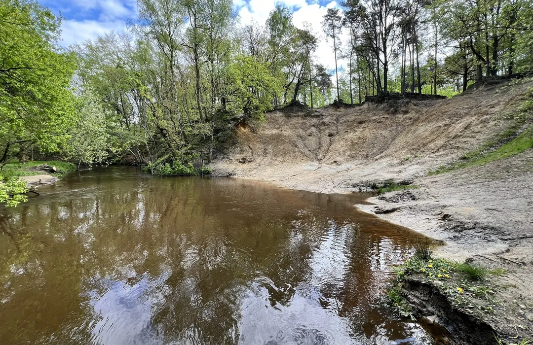 natuur gebied Leudal